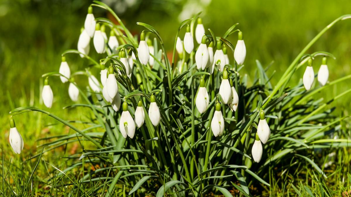 ce se intampla cu vremea anuntul facut de anm