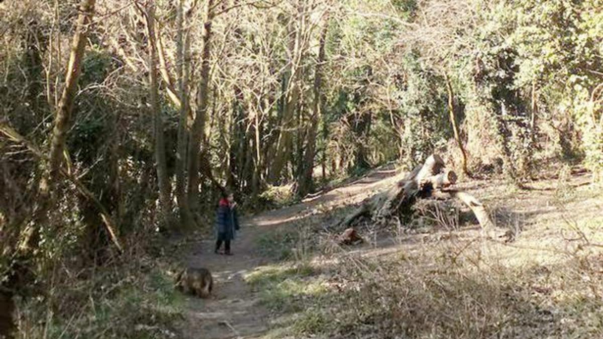 s a dus in padure sa i faca fiicei sale mai multe fotografii cand s a uitat la poze a observat ceva