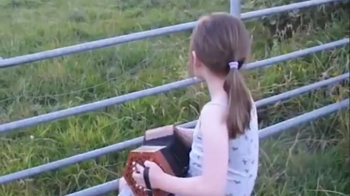 o fetita s a asezat pe scaunel in camp si a inceput sa cante la concertina este incredibil ce s a