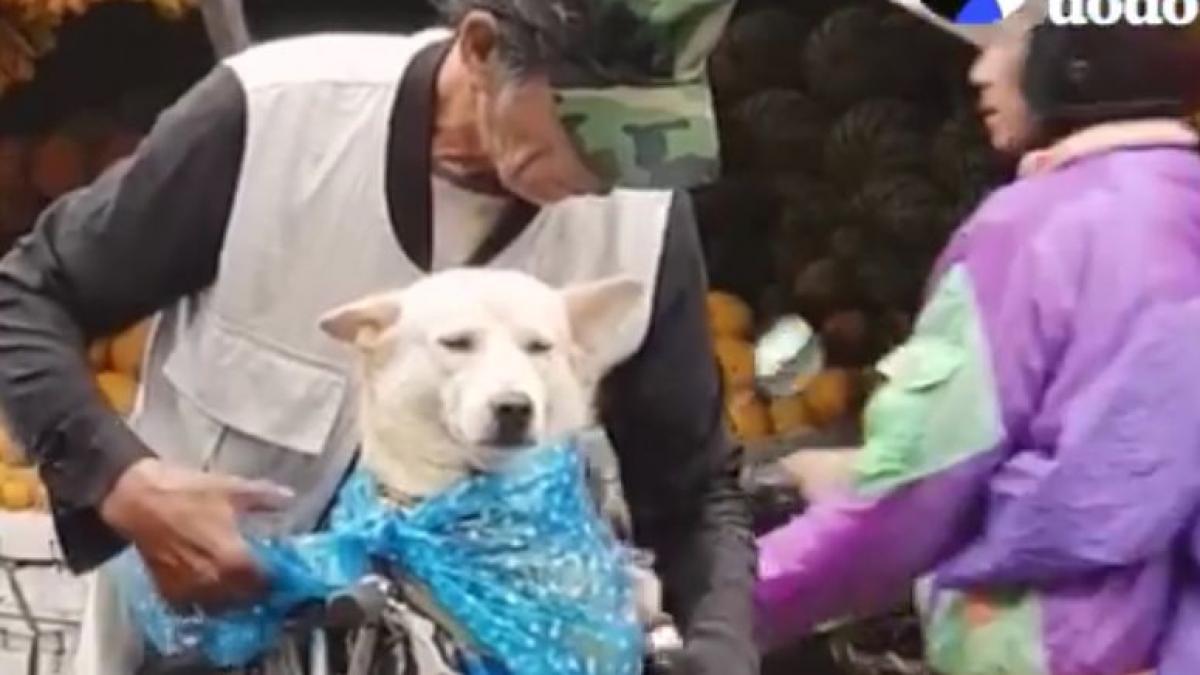 ploua torential cand au vazut ceva de neimaginat un batran aflat pe bicicleta a oprit in mijlocul