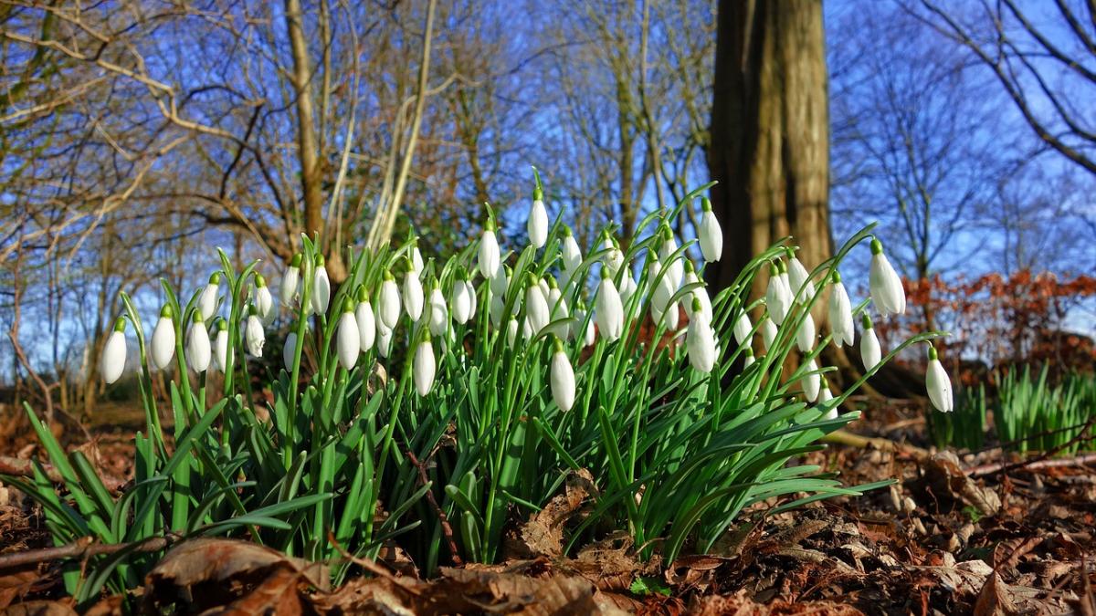 vesti bune de la meteorologi temperaturile cresc pana la 16 grade in urmatoarele zile