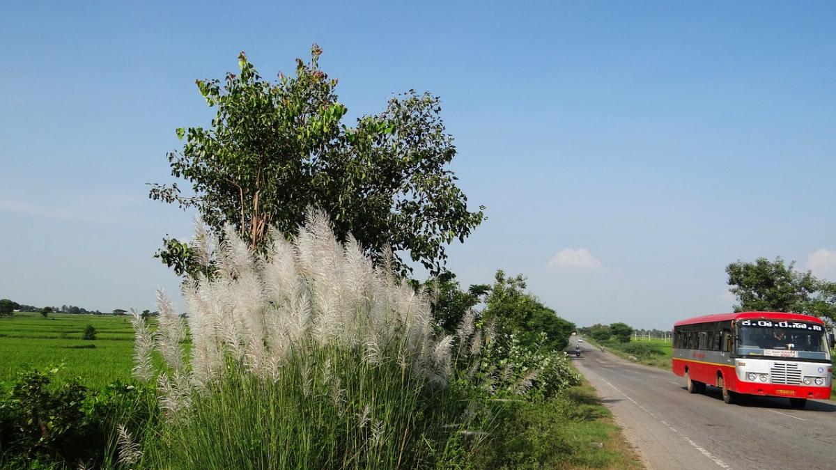 caz socant in india o fetita de trei ani a fost violata sub privirile fratelui ei intr un autobuz