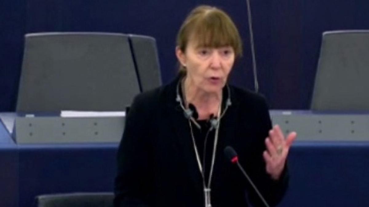 demisie neasteptata la bruxelles monica macovei paraseste alianta conservatorilor si reformistilor