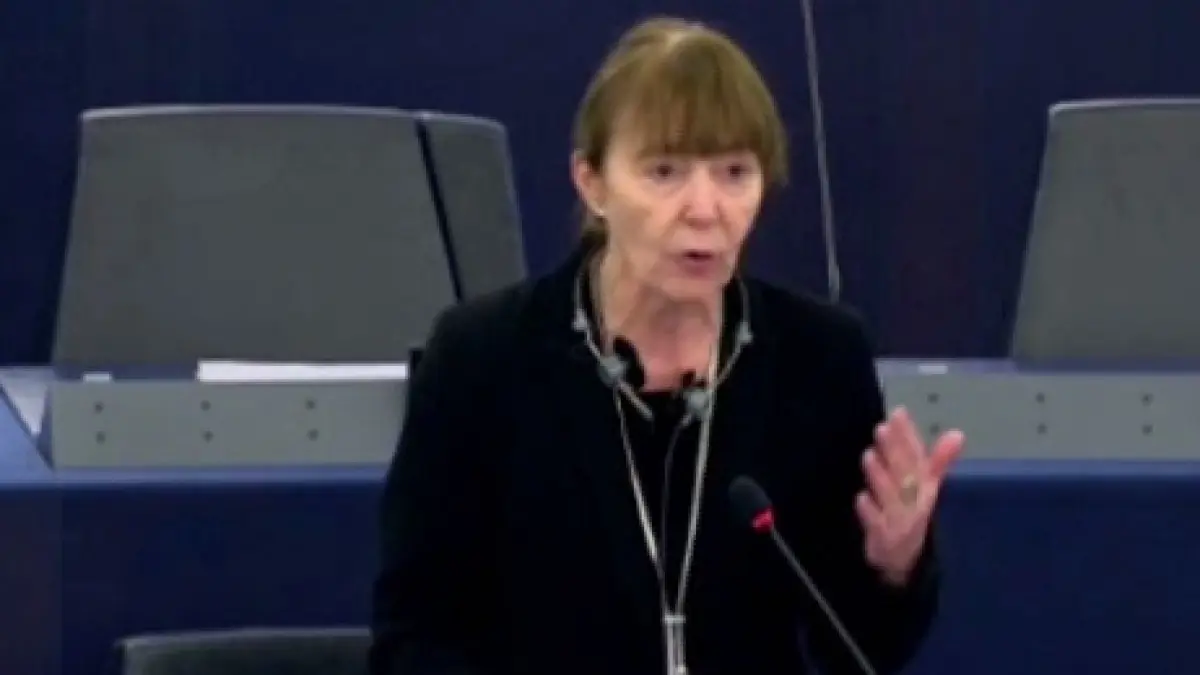 demisie neasteptata la bruxelles monica macovei paraseste alianta conservatorilor si reformistilor