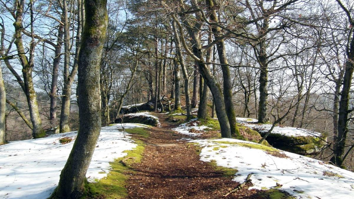 prognoza meteo pentru urmatoarele zile ce se intampla cu vremea in weekend