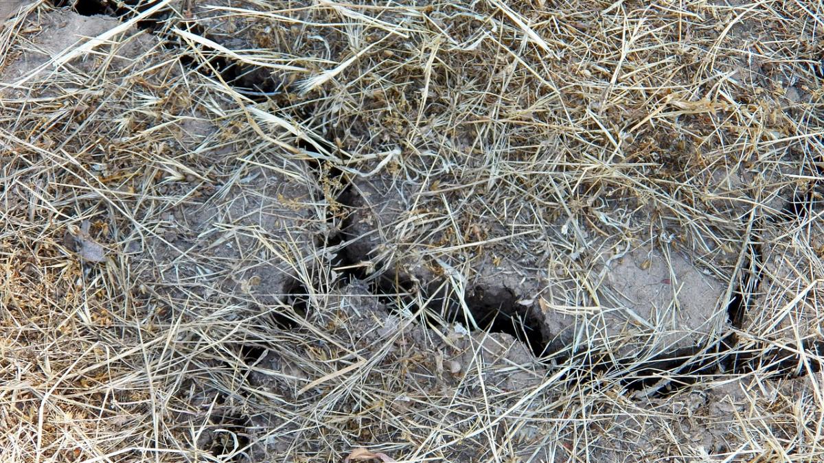 mai multe persoane evacuate dupa o alunecare de teren in prahova pamantul s a surpat nu se mai