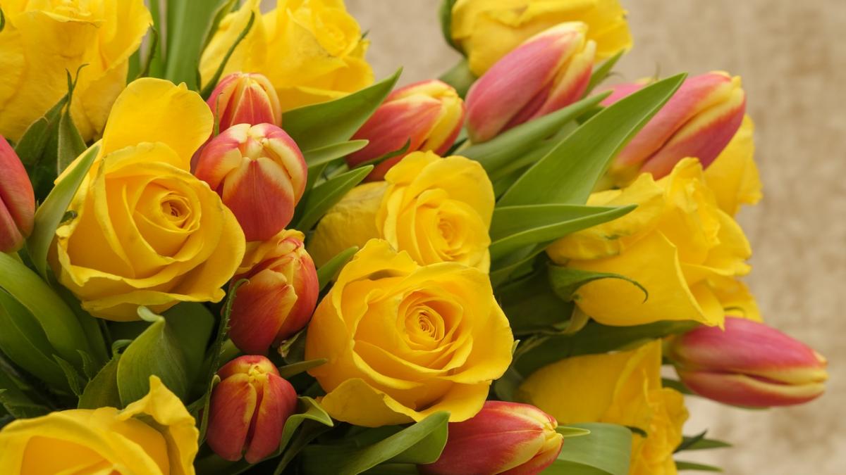 mesaje de 8 martie cele mai frumoase mesaje pentru soacra