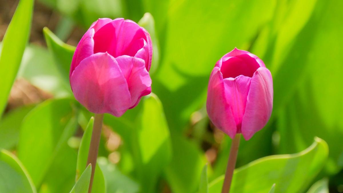schimbare brusca a vremii anuntul facut de meteorologi