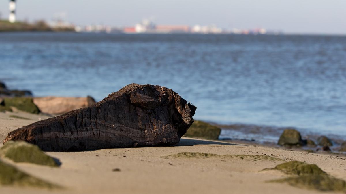se plimbau linistiti pe plaja pana cand au descoperit asta e incredibil ceea ce au vazut la malul