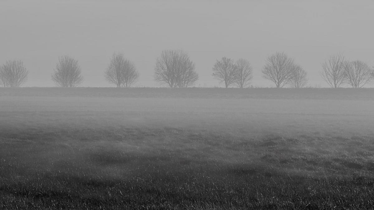 meteorologii avertizeaza fenomene periculoase in mai multe judete din tara
