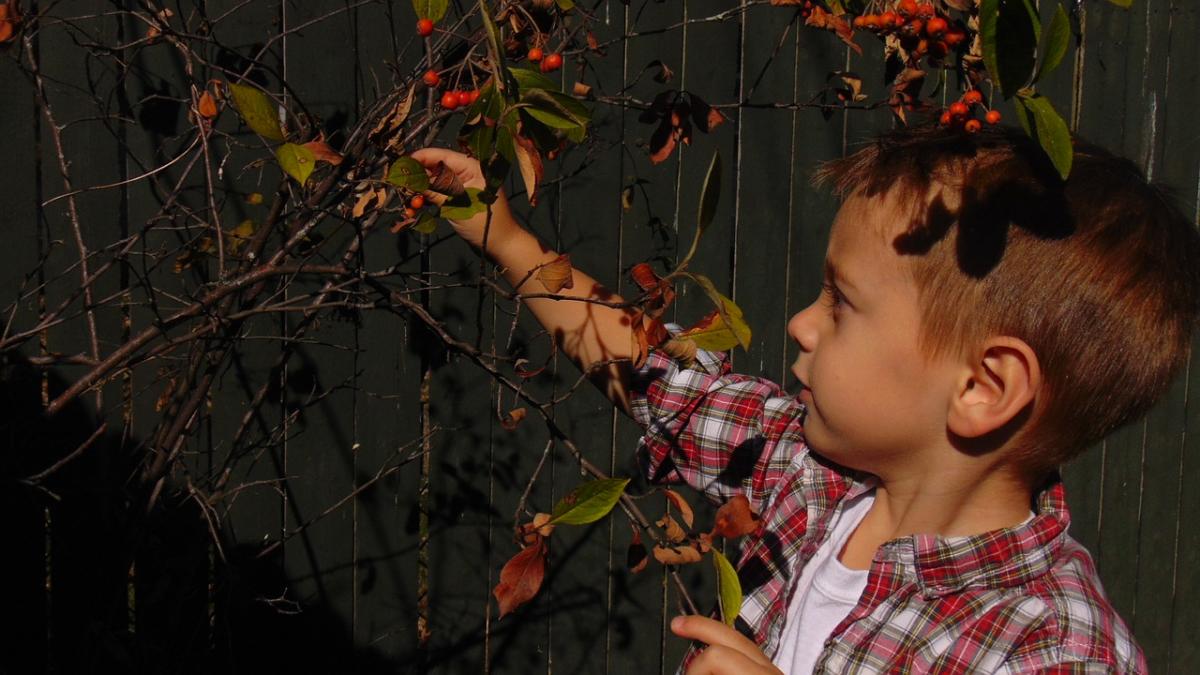 o mama si a ucis baietelul in varsta de opt ani declaratia dureroasa a tatalui sau am pierdut cea