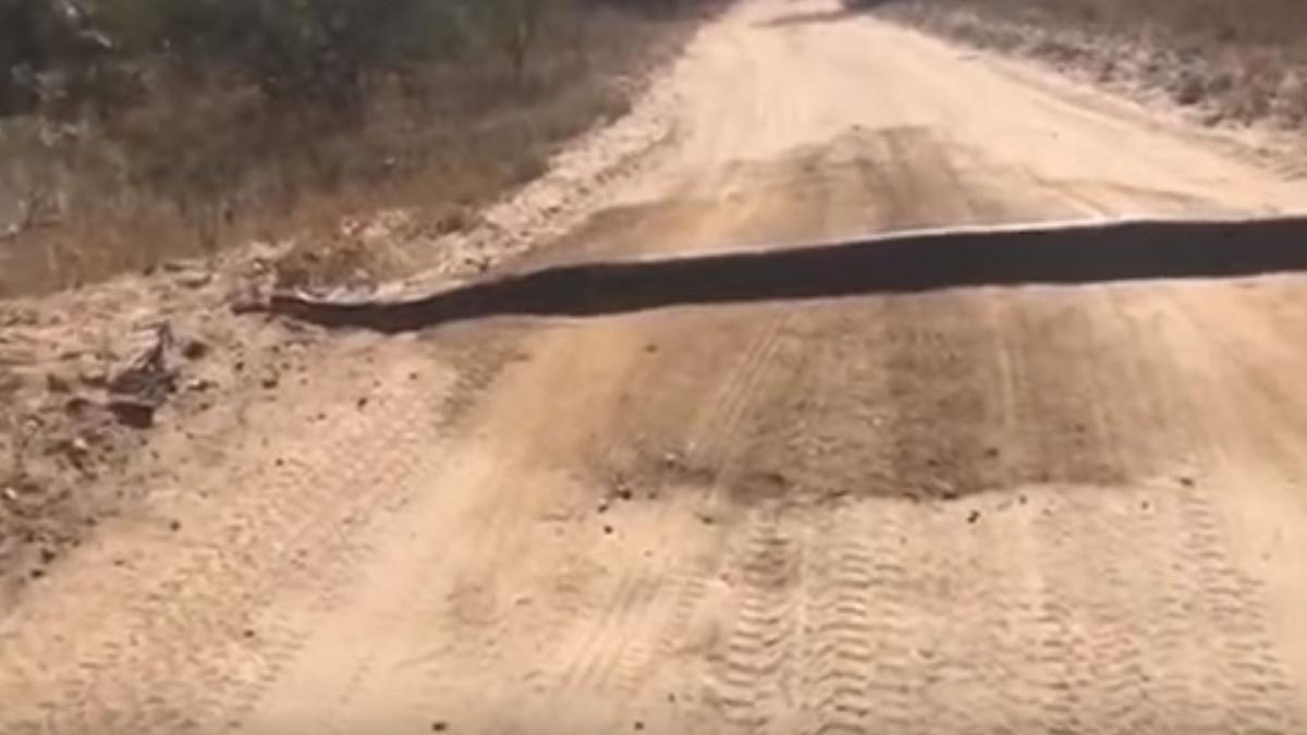 a iesit impreuna cu familia la o plimbare cu masina si a vazut ceva ciudat pe o straduta cand s a