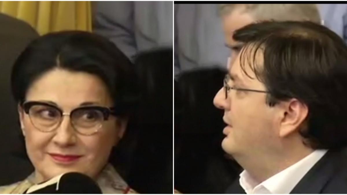 ecaterina andronescu si nicolae banicioiu au decis sa si retraga candidaturile in semn de protest