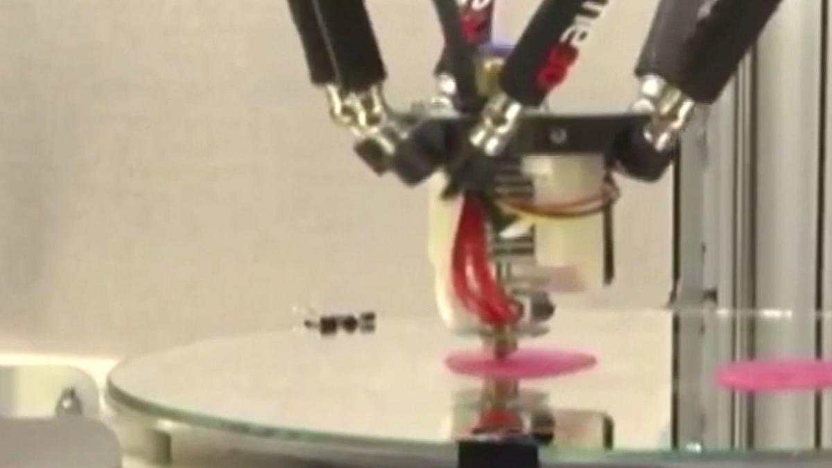 24 it imprimanta care reproduce organe umane