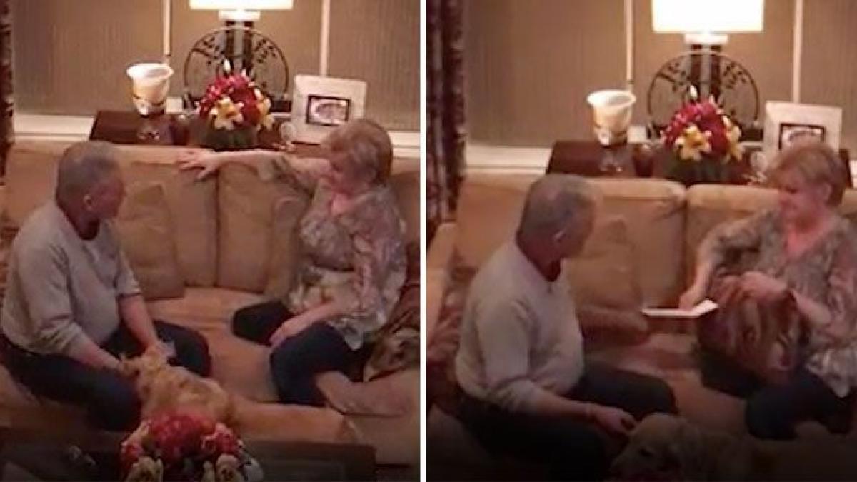 loto au castigat la loterie dar femeia i a ascuns asta barbatului timp de o saptamana nimeni nu se