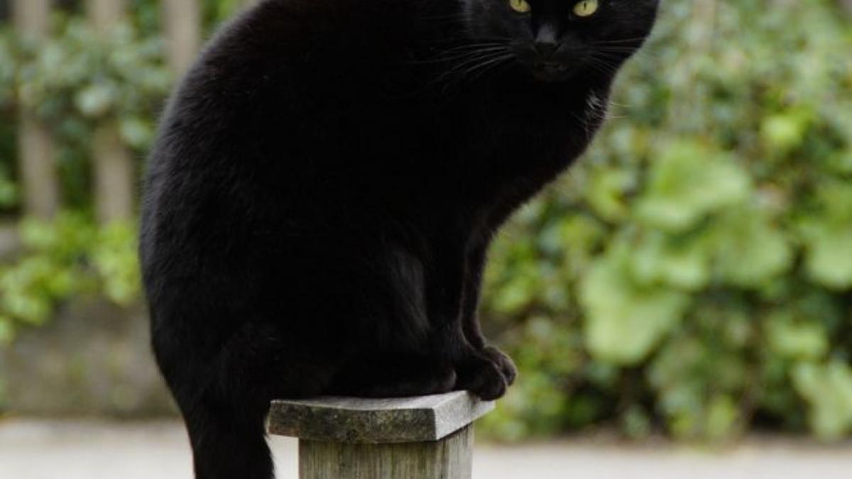 marti 13 cea mai ghinionista zi cum te feresti de cele trei ceasuri rele