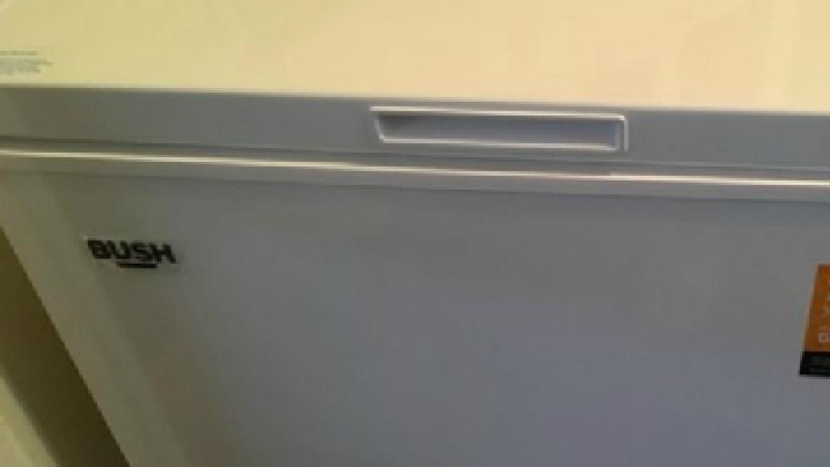 isi cumparase doua lazi frigorifice cu bani putini dar cand a ajuns acasa si le a deschis a fost de