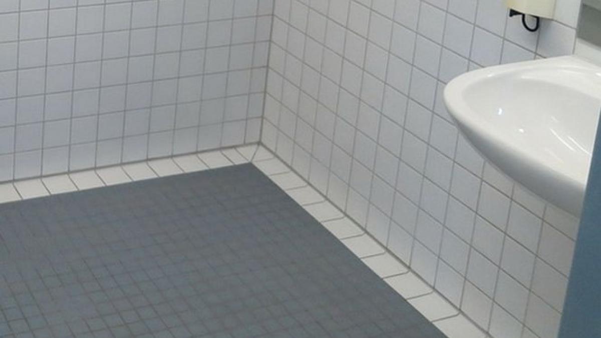 s a apucat sa faca curat intr o vila veche in care locuise un cuplu de ginecologi ce a gasit sub