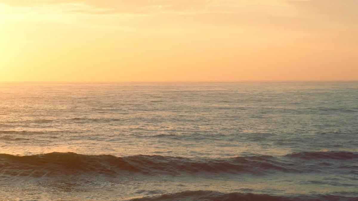 tragedie fara margini in portul constanta un barbat s a spanzurat