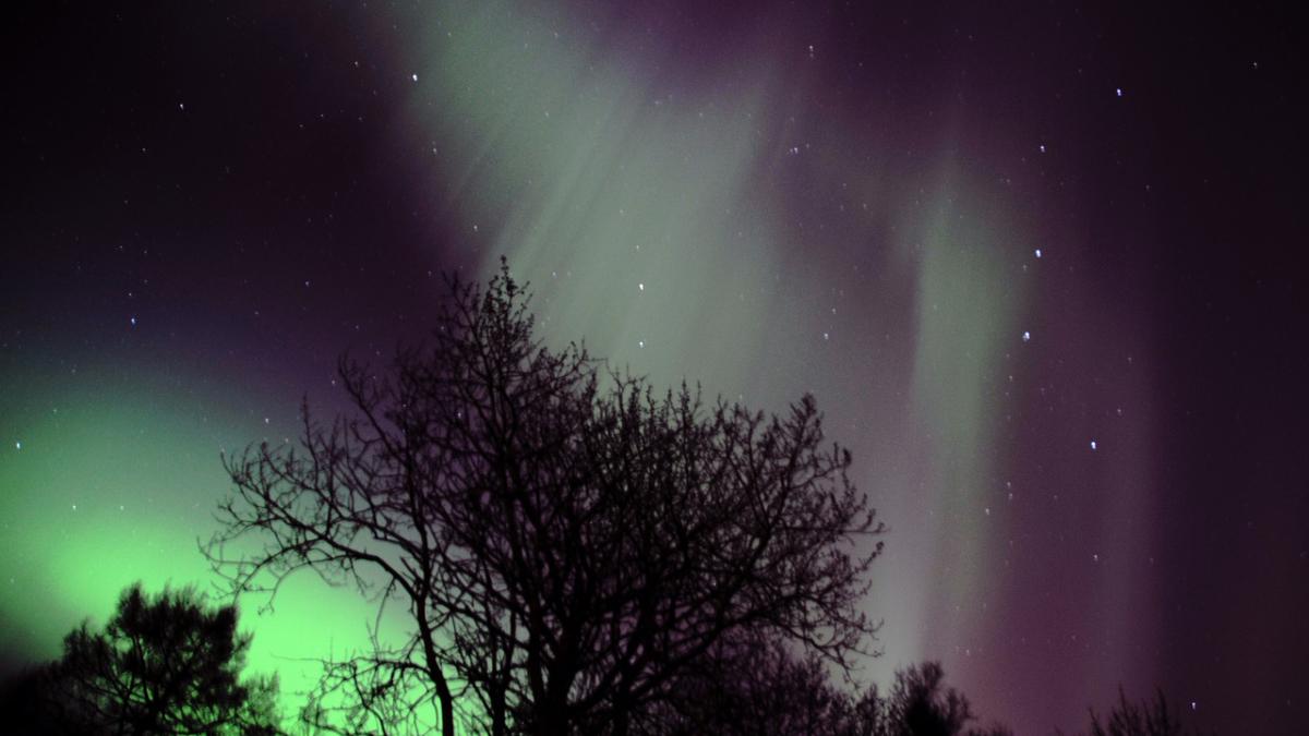aurora boreala deasupra finlandei nuante de roz si verde au luminat cerul video