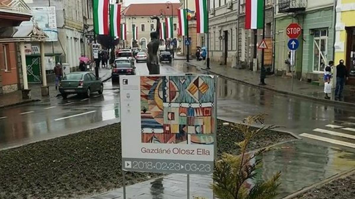 reactia ungariei in scandalul steagurilor maghiare din tinutul secuiesc acuzatii la adresa