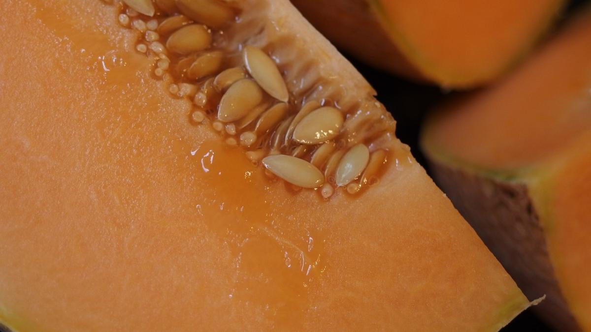 cinci persoane si au pierdut viata dupa ce au mancat pepene galben cum s a intamplat totul