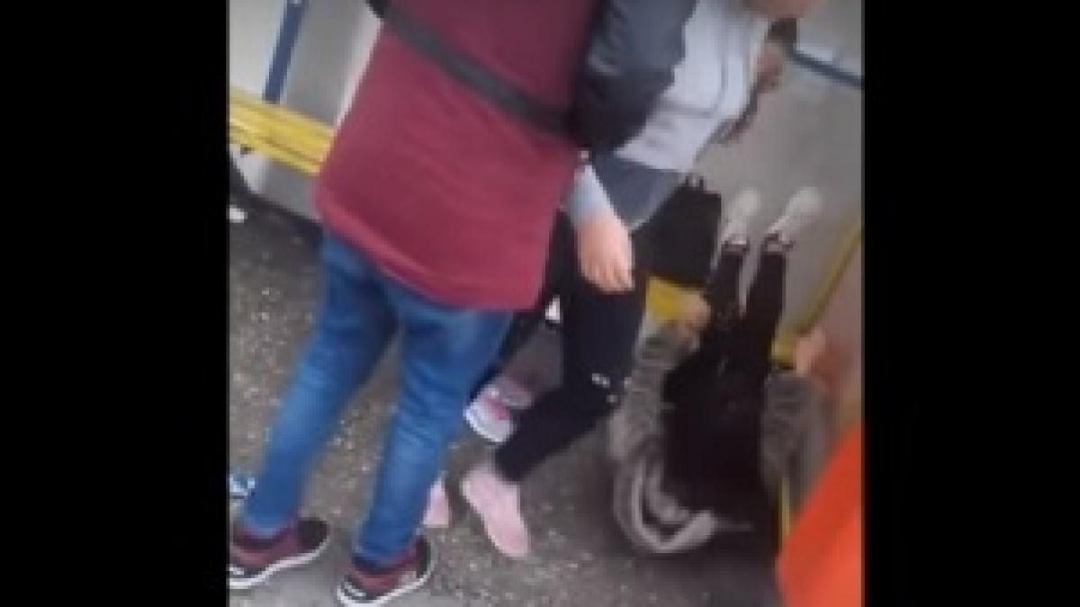 decizia autoritatilor in cazul elevelor care si au batut fara mila colega intr o statie de autobuz