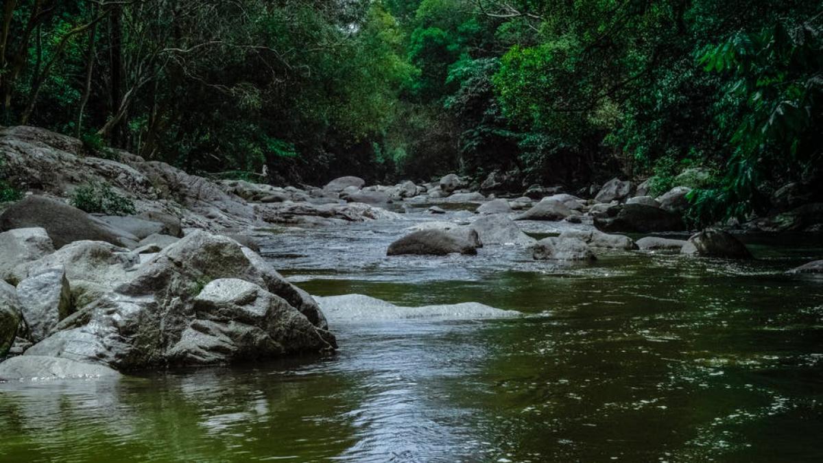 o batrana a cazut cu masina in rau la brasov femeia conducea sub influenta alcoolului