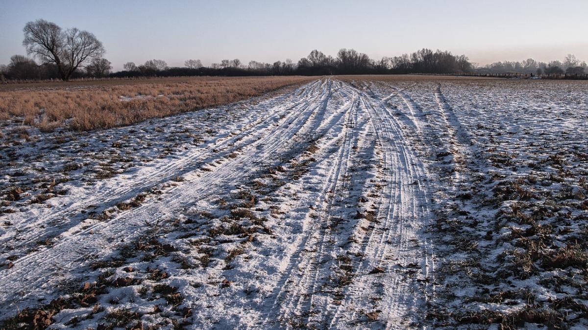 iarna se intoarce peste romania recoltele agricole sunt in mare pericol vremea rea ne ar putea lasa