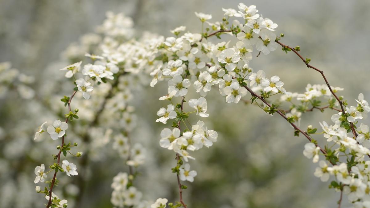 echinoctiul de primavara 2018 ce se intampla incepand cu 20 martie