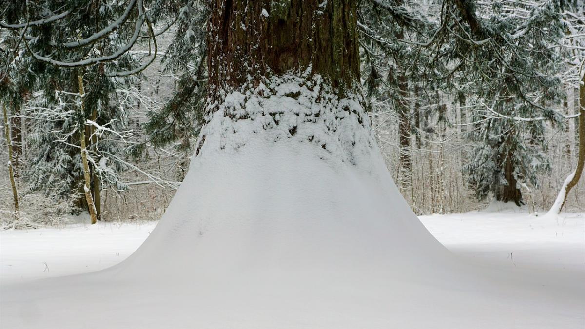 recorduri ale stratului de zapada in romania zona in care s a ajuns la 2 5 metri