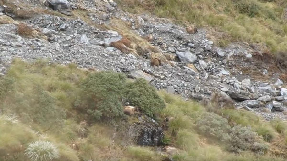 se aflau in vacanta si urcasera pe munte cand au vazut ceva incredibil s a auzit un zgomot si brusc