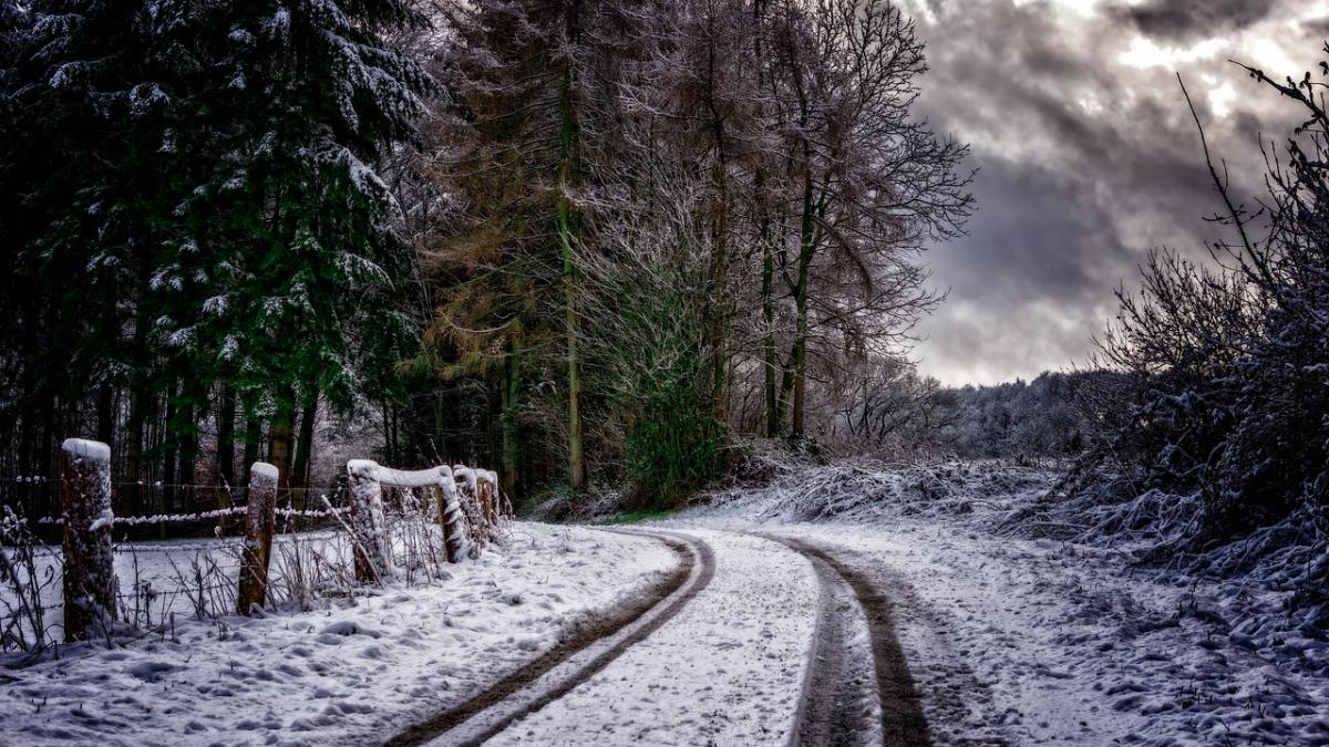 cod portocaliu de ninsori si viscol in sudul tarii prognoza meteo pentru weekend
