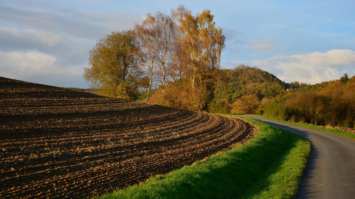 romania este statul cu cel mai ieftin teren arabil din uniunea europeana cu cat se vinde un hectar