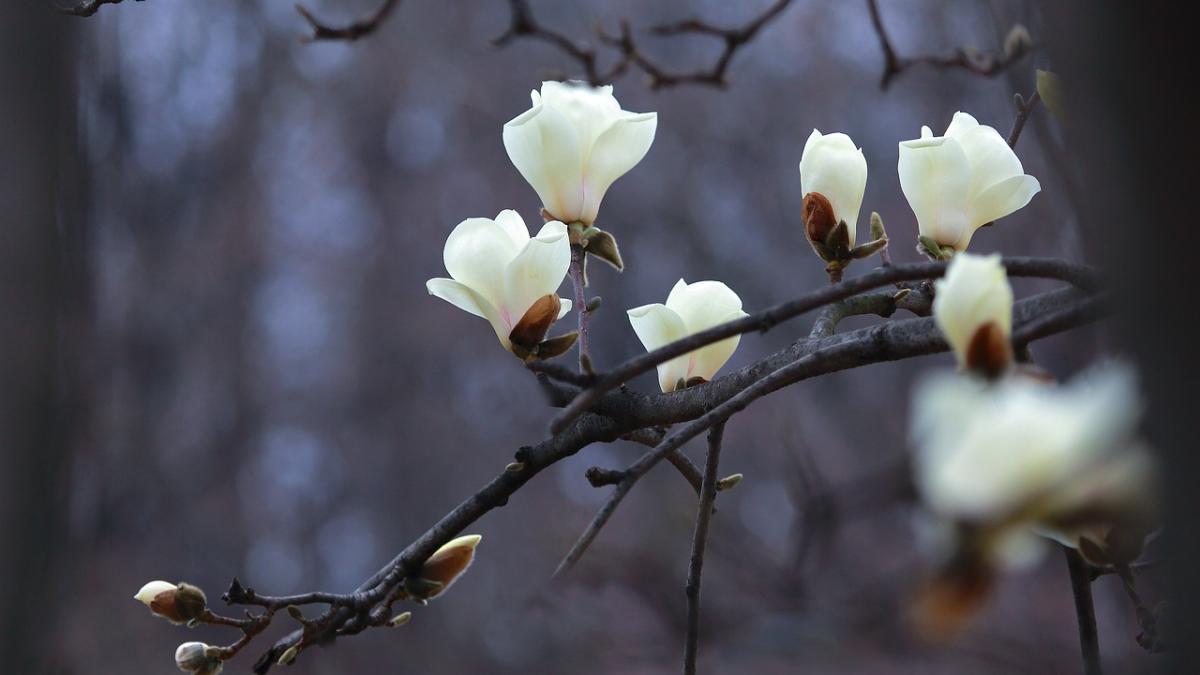 prognoza meteo pentru perioada aprilie iunie 2018