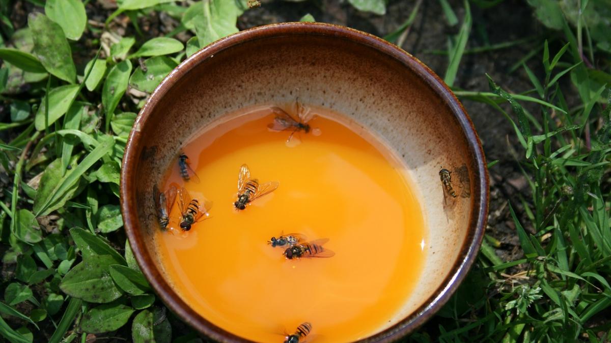 s a dus intr o sa faca acupunctura cu albine dar ceva bizar s a intamplat ce au vazut rudele femeii