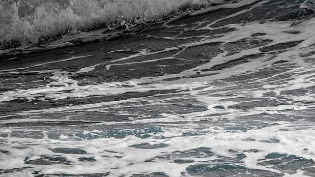 fenomen rar aparut in apele raului bega explicatia specialistilor