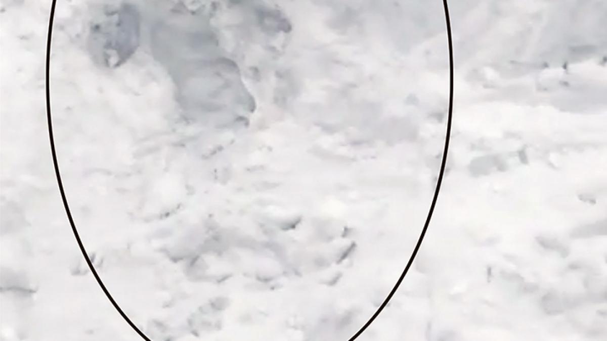 o femeie a supravietuit patru ore sub zapada strigam dupa ajutor dar nu ma auzea nimeni cum s a