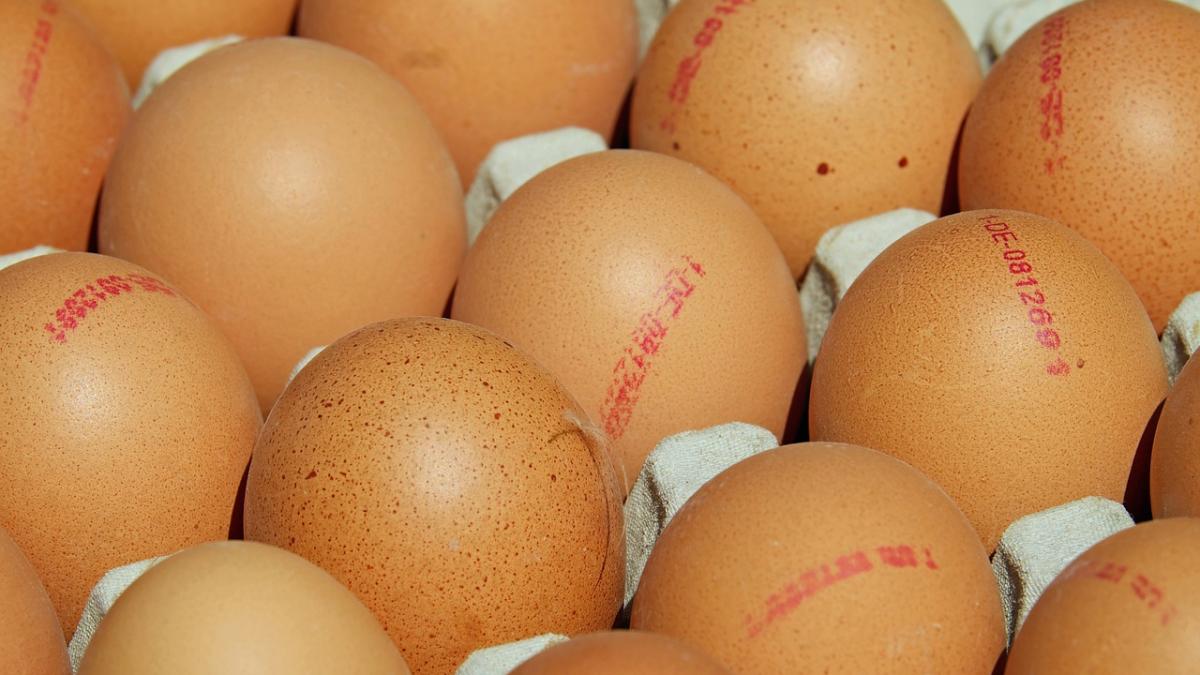 consiliul concurentei a declansat o investigatie pe tema majorarii preturilor la oua au ajuns sa