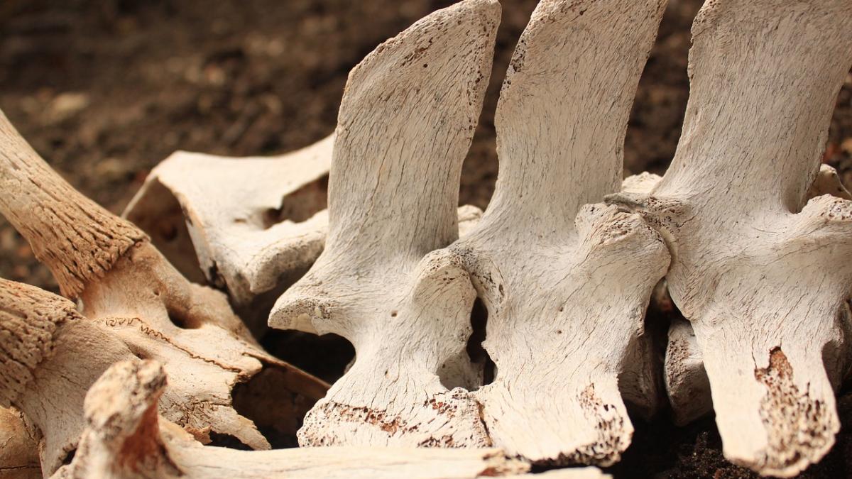 descoperire macabra in italia specialistii au ramas interzisi cand au vazut asta