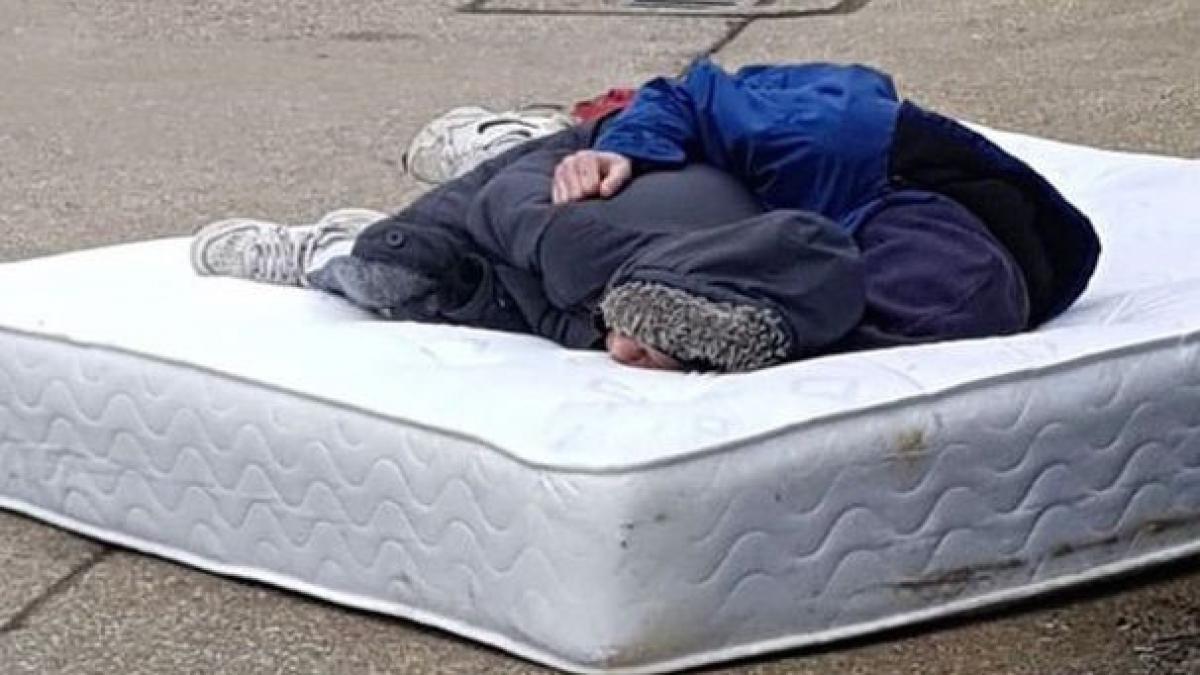 treceam intamplator pe acolo cand i am vazut in mijlocul drumului m am dus la ei si le am spus