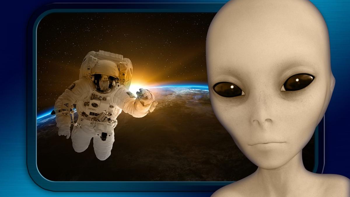 director nasa daca ati sti ce facem nu ati mai dormi noaptea