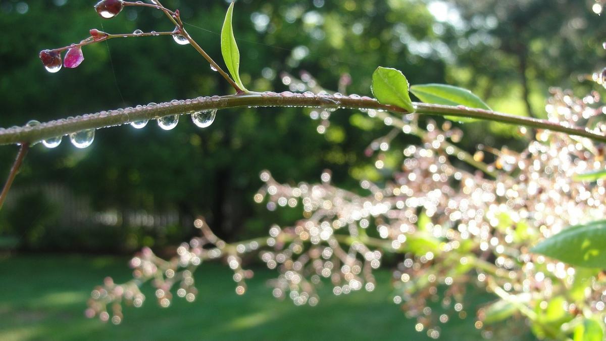 schimbare radicala de vreme cod galben de vant si ploi abundente in weekend duminica temperaturile