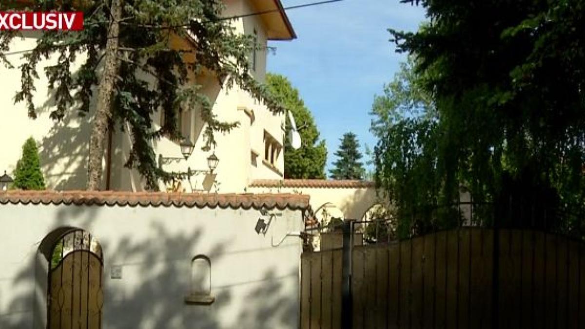 cum arata imperiul familiei adamescu