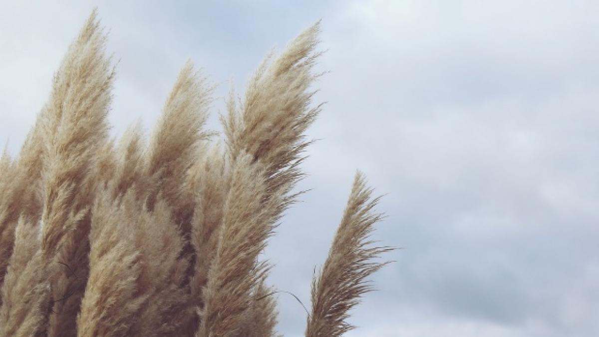 meteorologii avertizeaza cod galben de vant puternic in mai multe judete din tara