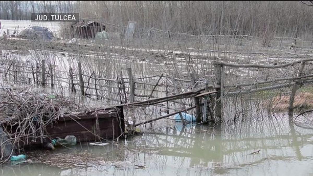 un sat din tulcea a fost acoperit de ape oamenii se deplaseaza cu barcile video