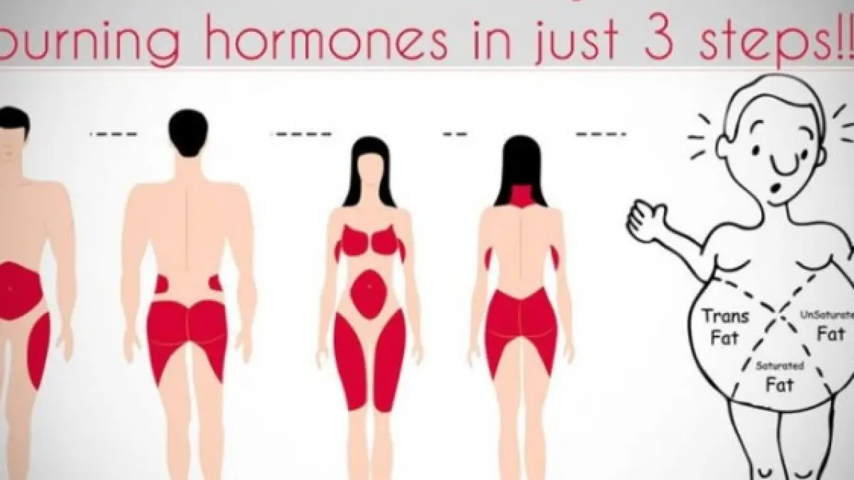 cum sa ti activezi hormonii care ard grasimile este mai usor decat credeai