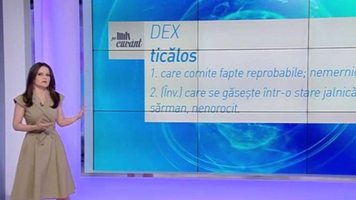 pe cuvant cu ana iorga de unde vine cuvantul ticalos