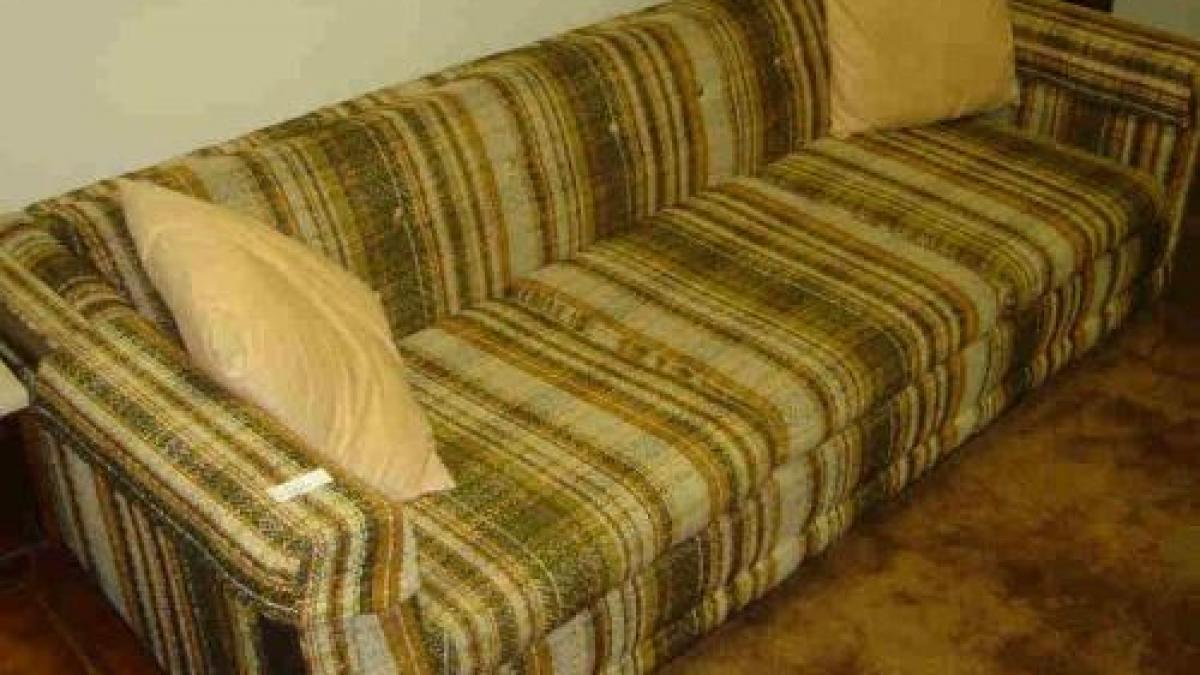 doua studente au cumparat o canapea veche si au dus o in camera de camin intr o seara au simtit