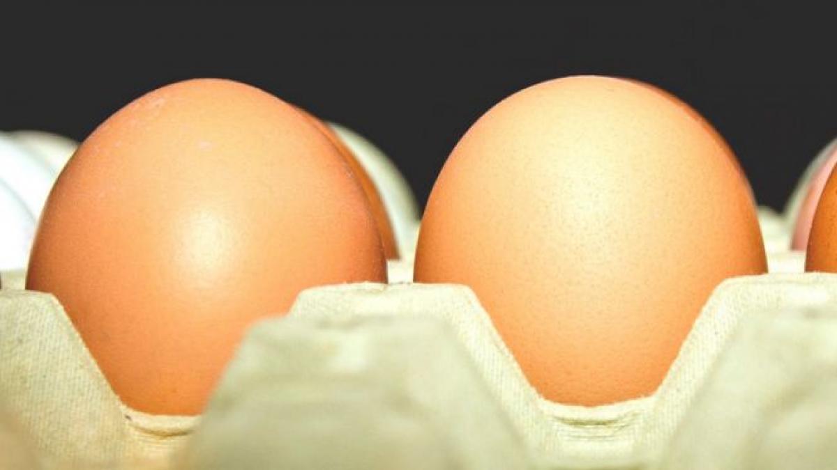 mare atentie la ouale din comert care au imprimat 3 pe coaja uite ce inseamna de fapt fiecare cifra